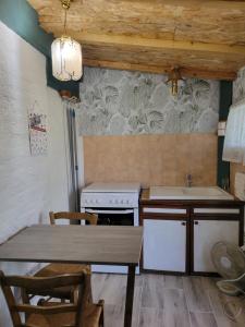 a kitchen with a table and a sink and a stove at Le nid de la mare in Mervans +3 photos