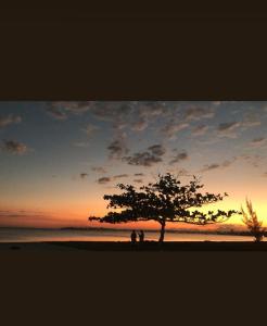 two people standing under a tree on the beach at sunset at Recanto Tia Nena in Araruama +7 photos