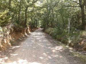Príroda v okolí apartmánu