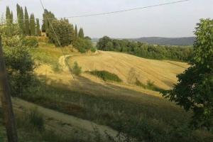 Príroda v okolí apartmánu
