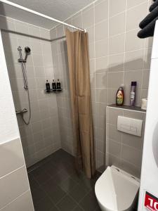 a bathroom with a shower and a toilet in it at Apartment Eppingen in Eppingen +3 photos