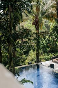 a swimming pool in a garden with palm trees at Hotel Lepic in Abidjan