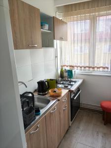 a small kitchen with a sink and a stove at Intime Poto House Suceava in Suceava