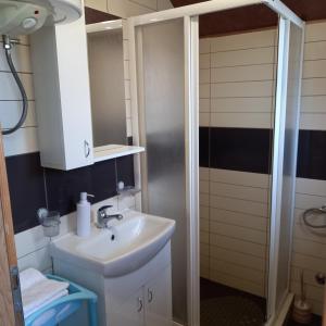 a bathroom with a sink and a shower at Apartmani Aleksijević Zlatibor in Zlatibor +41 photos