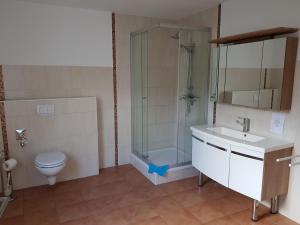 a bathroom with a toilet and a shower and a sink at Ein Zuhause auf Zeit in Osterburg +12 photos