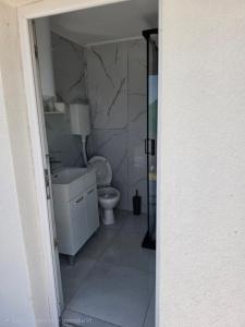 a bathroom with a toilet and a sink at Jezerina in Šavnik +24 photos