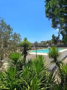 a swimming pool with palm trees in the foreground at Contrada Macchia B&B in Tricase