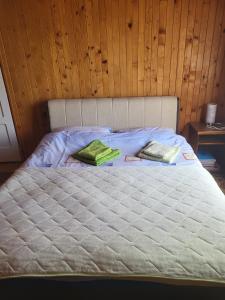 a bed with two green pillows on top of it at Kod Marijanovića in Andrijevica +3 photos