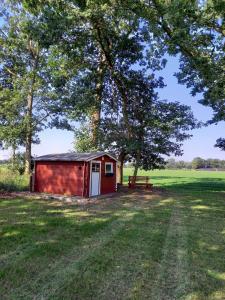 a red shed in a field under a tree at Ferienhaus Dat Landhuus 95158 in Rhauderfehn