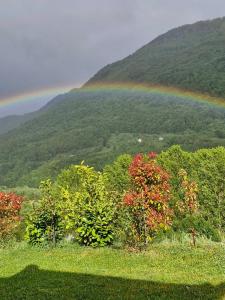 a rainbow over a hill with trees and bushes at Kod Marijanovića in Andrijevica