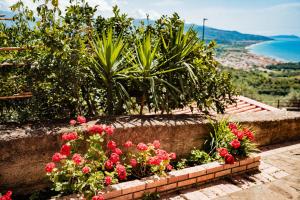 a garden with red flowers in a stone planter at Tenuta La Selva Casa Pendio in Casal Velino