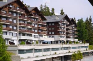 a large apartment building on the side of a river at Immeuble Les Mélèzes in Les Collons