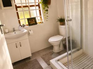 a bathroom with a toilet and a shower and a sink at Tanzanite in Paternoster