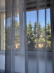 a window in a room with a view of trees at Pas Kastyti in Palanga