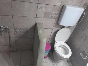 a small bathroom with a toilet and a shower at makis in Xilosírtis