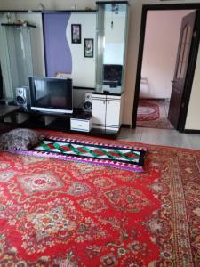 a living room with a red carpet and a tv at Guest house Aibek in Kurmenty