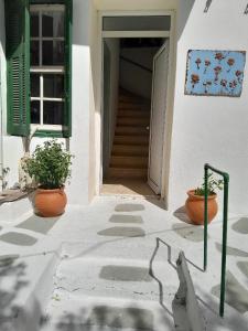 two plants in pots sitting outside of a building at makis in Xilosírtis