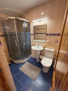a bathroom with a toilet and a shower and a sink at Pas Kastyti in Palanga +20 photos