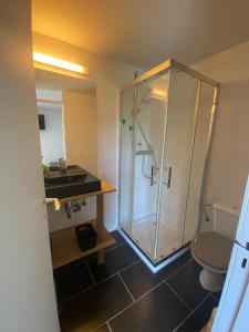 a bathroom with a shower and a toilet and a sink at Studio Cosy 2 in Han-sur-Lesse +14 photos