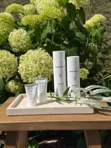 a tray with four cups on a table with flowers at Enklawa - Apartamenty z balią w otoczeniu natury in Nowy Podleś