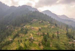 a green hillside with houses on top of it at the jibhi nest cottage in Mandi
