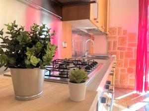 two potted plants sitting on a counter in a kitchen at Viale Monza Chic Stay - Affitti Brevi Italia in Milan
