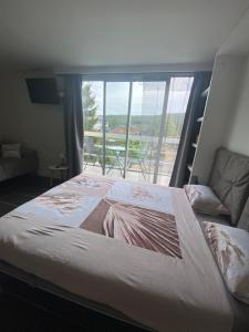 a bedroom with a bed and a large window at Studio Cosy 2 in Han-sur-Lesse