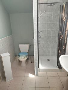 a bathroom with a toilet and a shower at L'Érable du perche in Tourouvre