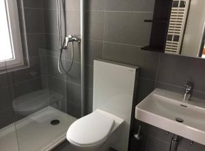 a bathroom with a toilet and a shower and a sink at Immeuble Belvédère in Les Collons