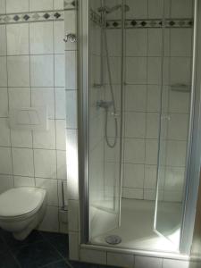 a bathroom with a shower and a toilet at Ferienwohnung Steinebach in Daun +4 photos