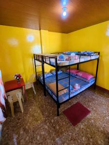 a room with two bunk beds in a yellow room at Polangui Transient Room A Simple Transient House in Polangui