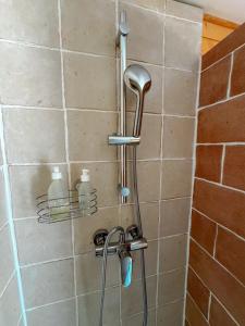 a shower with a shower head on a tiled wall at La Petite Maison d'Emma in Vidauban