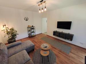 a living room with a couch and a tv at Janas Pfälzerwaldglück in Lemberg
