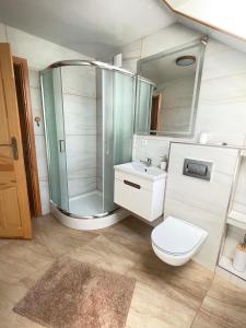 a bathroom with a shower and a toilet and a sink at Akacjowe Wzgórze in Ruciane-Nida +36 photos