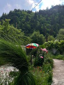 a colorful umbrella sitting in a garden with flowers at Debi in Lentekhi +22 photos
