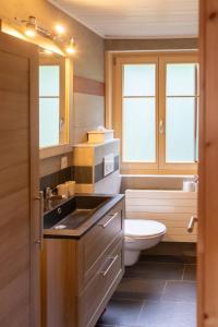 a bathroom with a sink and a toilet and windows at Chalet Les Rhodos in Vex