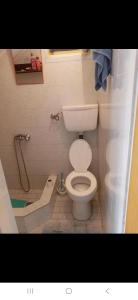 ein kleines Badezimmer mit Toilette und Dusche in der Unterkunft Zagaa1 in Petrovac na Moru