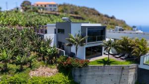 a house on top of a hill with palm trees at Villa Calhau by LovelyStay in Ponta do Sol