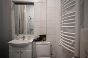 a bathroom with a sink and a toilet and a mirror at Historic Karaimai Street Balcony Apartment, Trakai, Lithuania in Trakai +39 photos