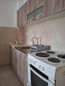 a kitchen with a white stove and a sink at Zmaj LUX 2 in Mladenovac