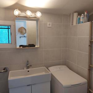 a bathroom with a sink and a toilet and a mirror at Les canaris in Mimizan-Plage +7 photos