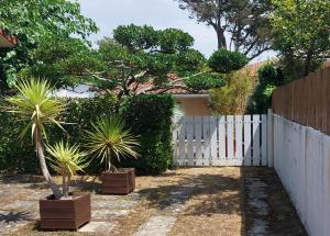 a white fence with two palm trees in a yard at Les canaris in Mimizan-Plage