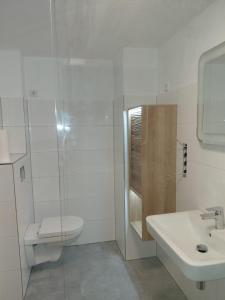 a white bathroom with a toilet and a sink at Rurterasse in Monschau