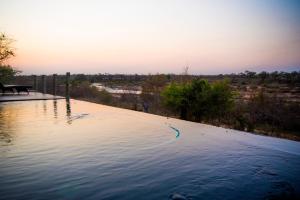 a pool of water with a bench next to it at MANZINI RIVER HOUSE - Mjejane Private Game Reserve, Greater Kruger National Park in Hectorspruit