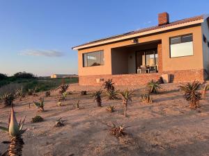 a house with a bunch of cacti in front of it at Olive Grove Addo in Addo