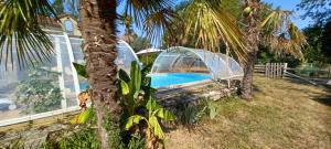 a swimming pool in a greenhouse next to a palm tree at La Bastide in Armous-et-Cau