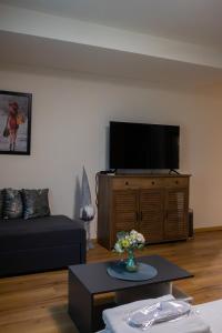 a living room with a couch and a flat screen tv at AleA Central Studio Art Museum in Craiova