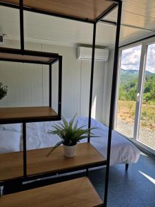 a bedroom with a bunk bed and a window at Firiza Nature Lodges in Baia Mare