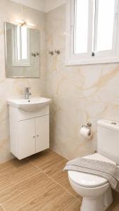 a bathroom with a sink and a toilet and a mirror at Ioannis Schinas Studios in Loutra Edipsou
