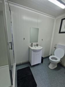 a bathroom with a toilet and a sink at Firiza Nature Lodges in Baia Mare